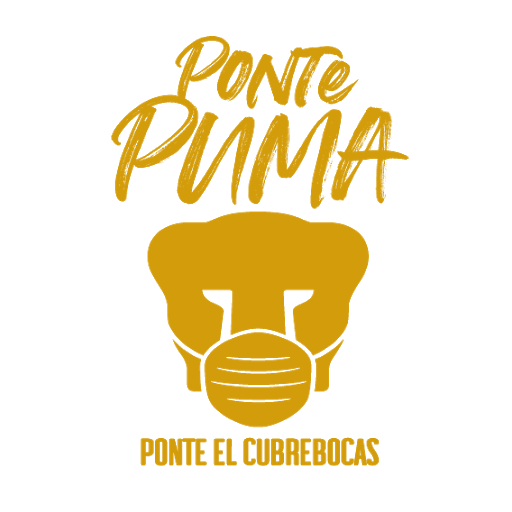 pontePuma